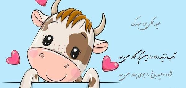 عکس گاو پروفایل