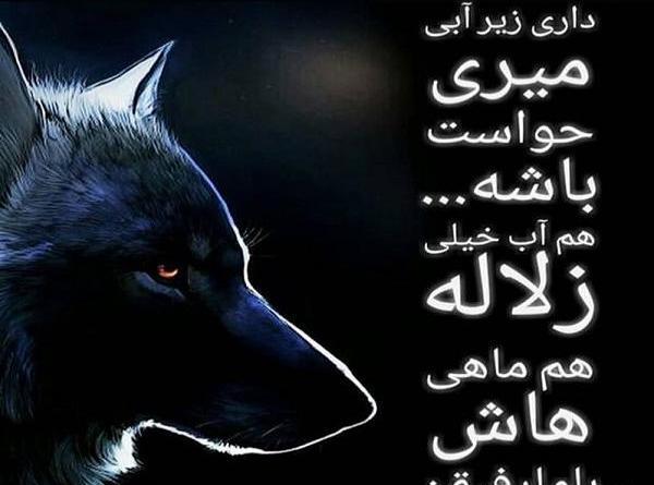 عکس آهنگ لاتی
