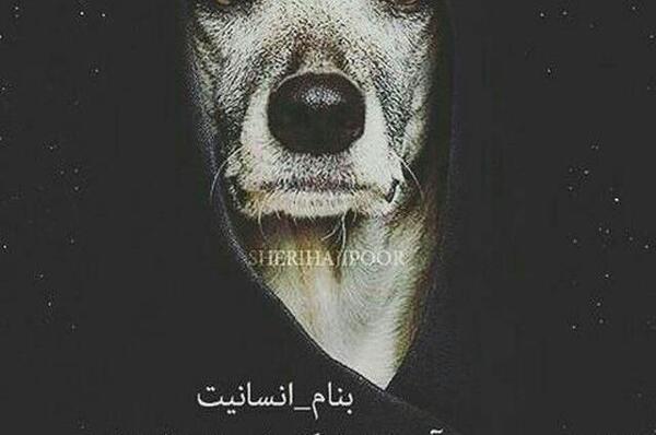 عکس لاتی تنهایی