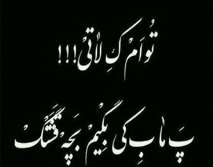 عکس لاتی ترکی