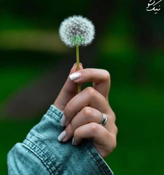 عکس لاکچری
