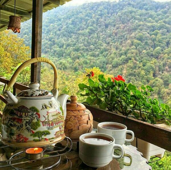 عکس لاکچری از طبیعت