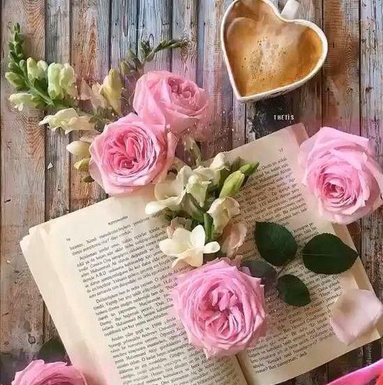 عکس لاکچری گل برای پروفایل