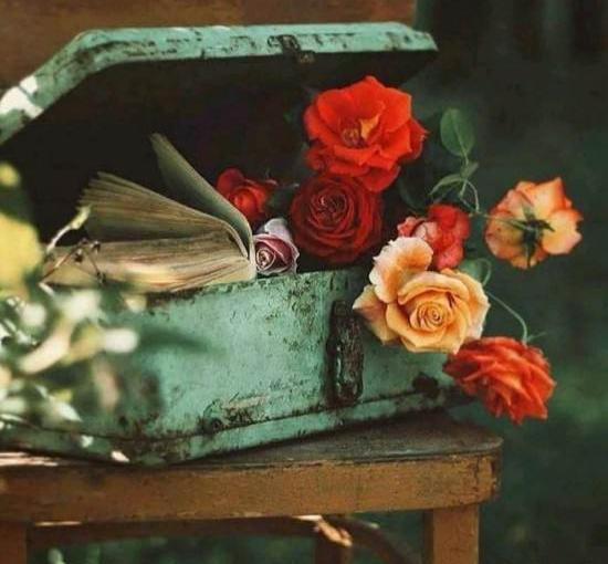 عکس لاکچری گل برای پروفایل