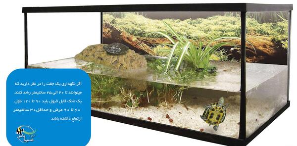 عکس لاک پشت اکواریوم