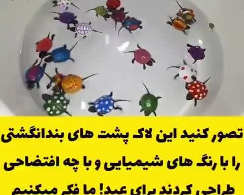 عکس لاک پشت عید