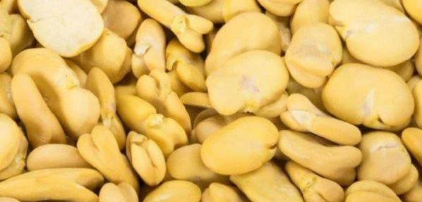 عکس لپه باقالی