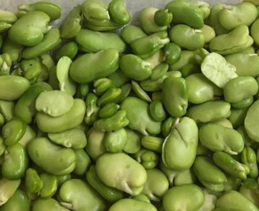 عکس لپه باقالی