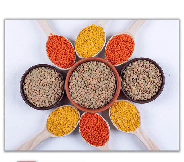 عکس انواع لپه