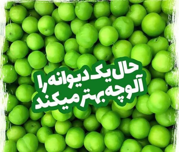 عکس نوشته لواشک برای پروفایل