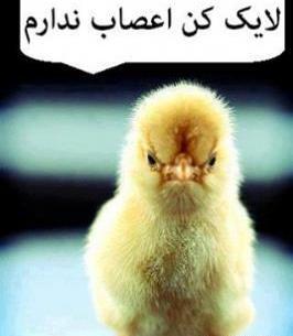عکس های لایک دار اینستاگرام