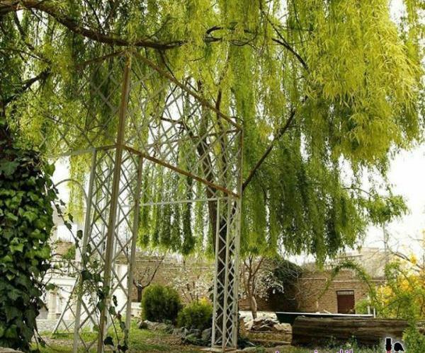 عکس منظره آتلیه