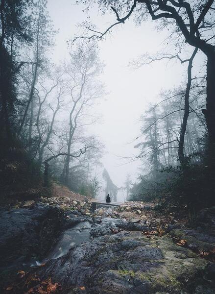 عکس منظره ترسناک