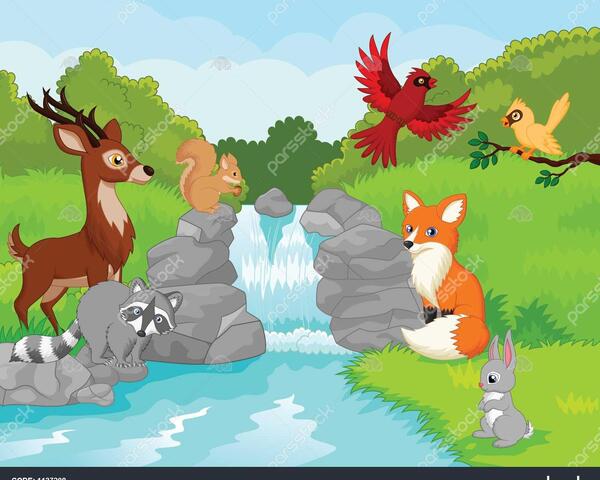 عکس منظره با حیوانات