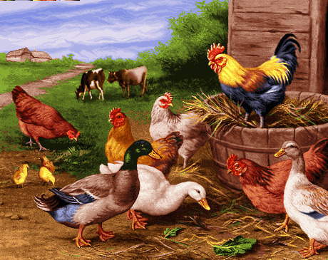 عکس منظره با حیوانات
