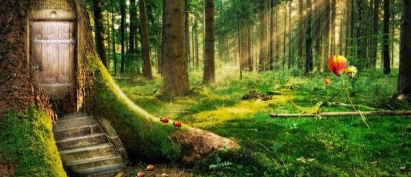 عکس منظره خیلی قشنگ