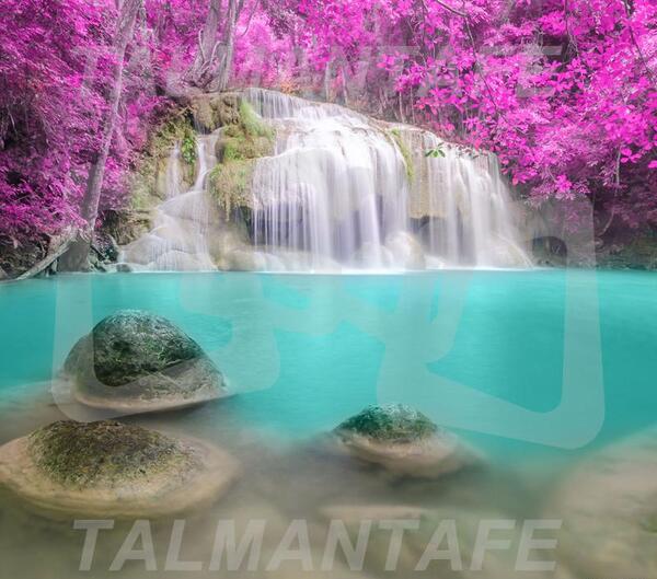 عکس منظره صورتی
