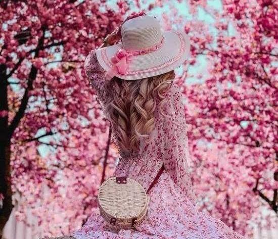 عکس منظره صورتی