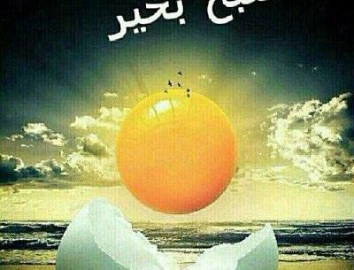 عکس منظره صبح بخیر