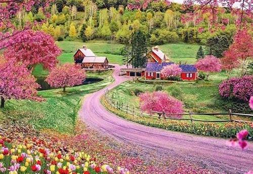 عکس منظره طبیعت زیبا