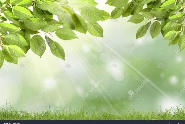 عکس منظره ظهر