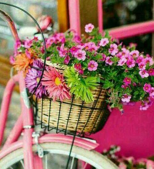 عکس منظره عاشقانه