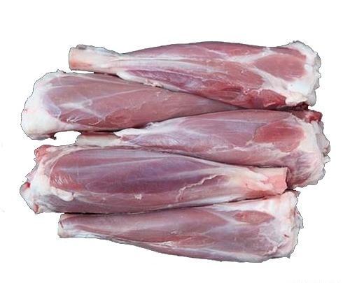 عکس ماهیچه گوسفندی