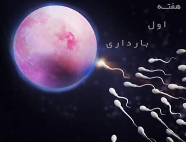 عکس ماه اول بارداری