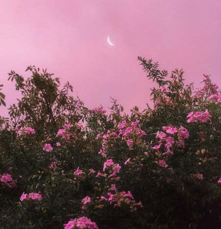 عکس ماه صورتی برای پروفایل