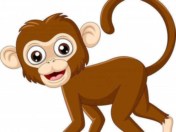 عکس میمون کارتونی