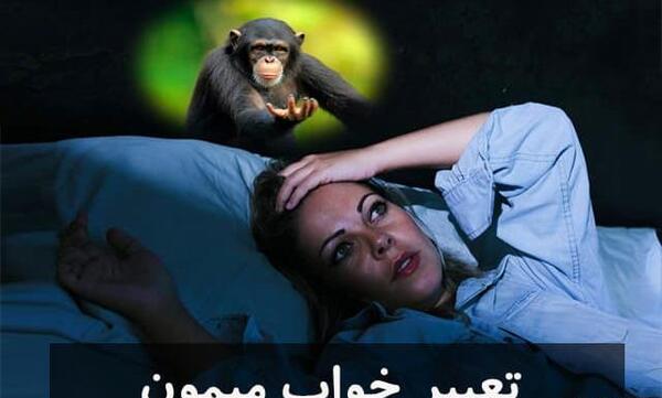 عکس میمون روی شاخه