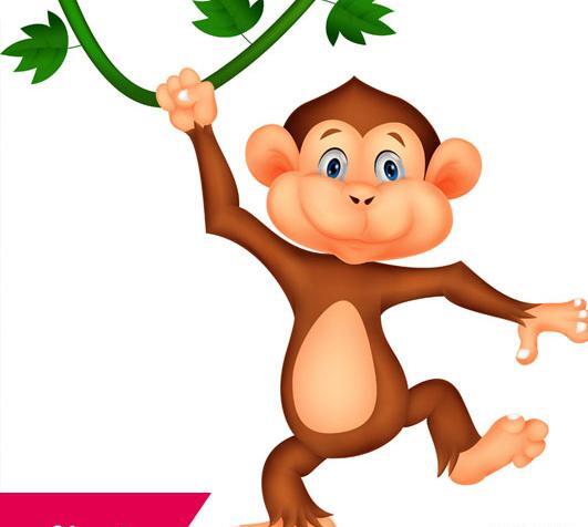 عکس طرح میمون