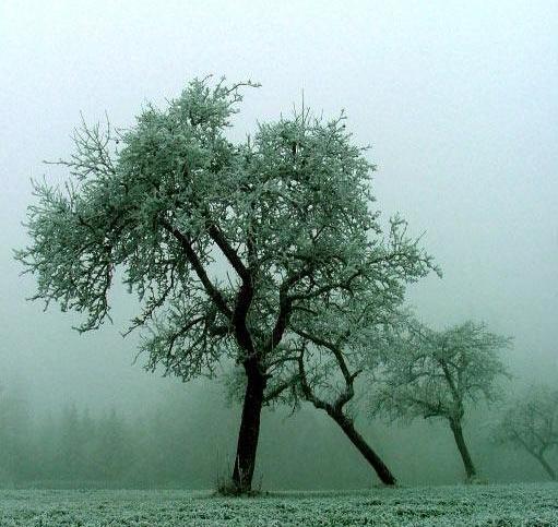 عکس منظره زیبا برای صفحه گوشی