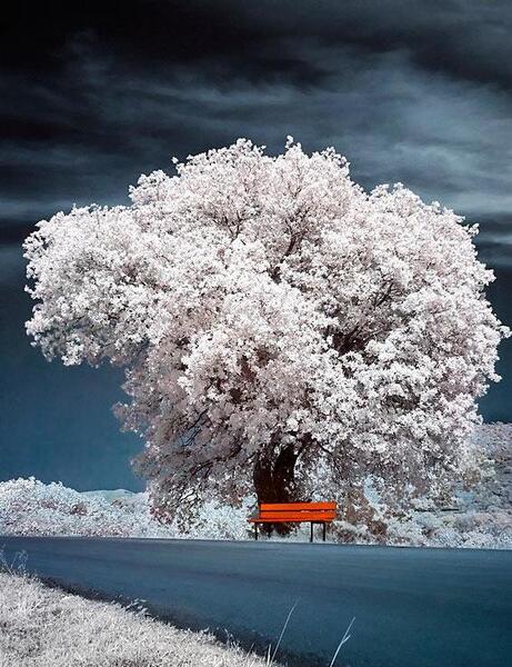 عکس منظره زیبا برای صفحه گوشی