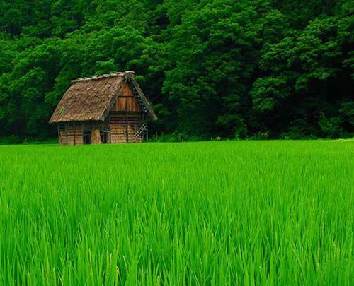 عکس منظره زیبای شمال ایران