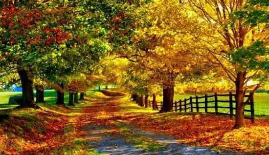 عکس منظره ی زیبای پاییزی