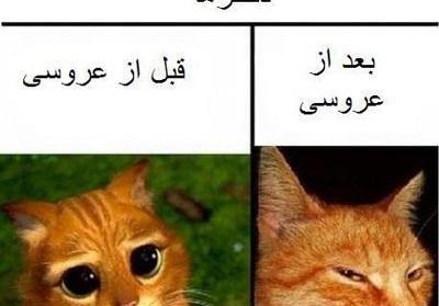 عکس نوشته ضد مرد