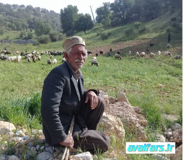 عکس مرد قشقایی