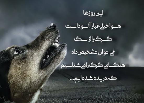 عکس مفهومی حیوانات