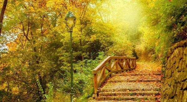 عکسهای مفهومی طبیعت