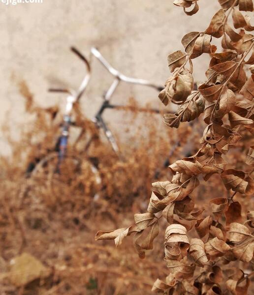 عکسهای مفهومی طبیعت