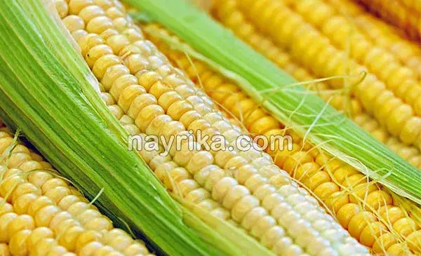 عکس ماشین ذرت