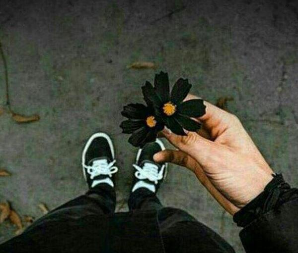 عکس گل مردانه