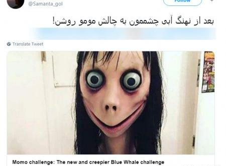 عکس حیوان مومو