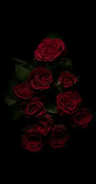 عکس مشکی صفحه گوشی