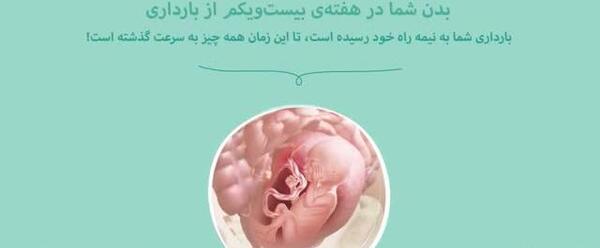 عکس جنین پسر در هفته 21 بارداری