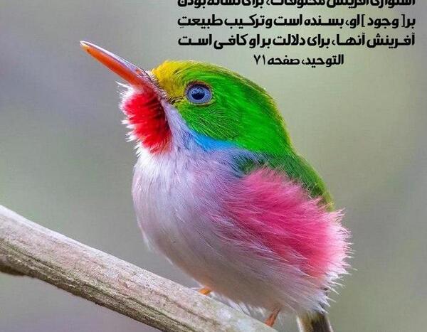 عکس نوشته های طبیعت خدا