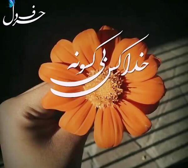 عکس نوشته خدا یار بی کسان است