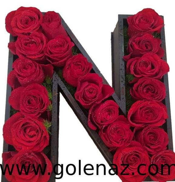 عکس ولنتاین حرف n