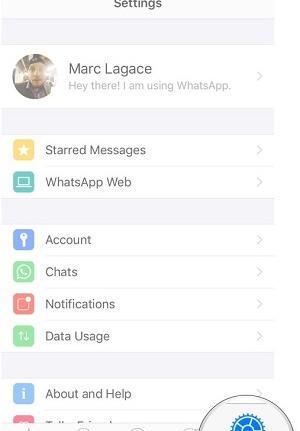 عکس واتساپ گوشی اپل